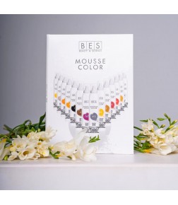 BES MOUSSE COLOR COLOR CHART