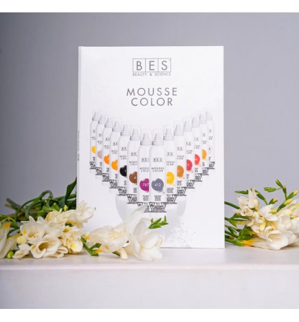 BES MOUSSE COLOR COLOR CHART