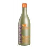 F1 CHAMPU DEFORFORANTE 1000 ml